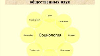Photo of Социология: изучение общественных процессов