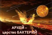 Photo of Геология: история развития планеты Земля