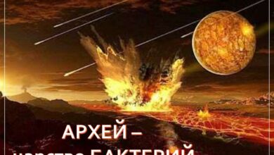 Photo of Геология: история развития планеты Земля