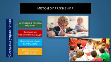 Photo of Педагогика и образование: методы преподавания и воспитания